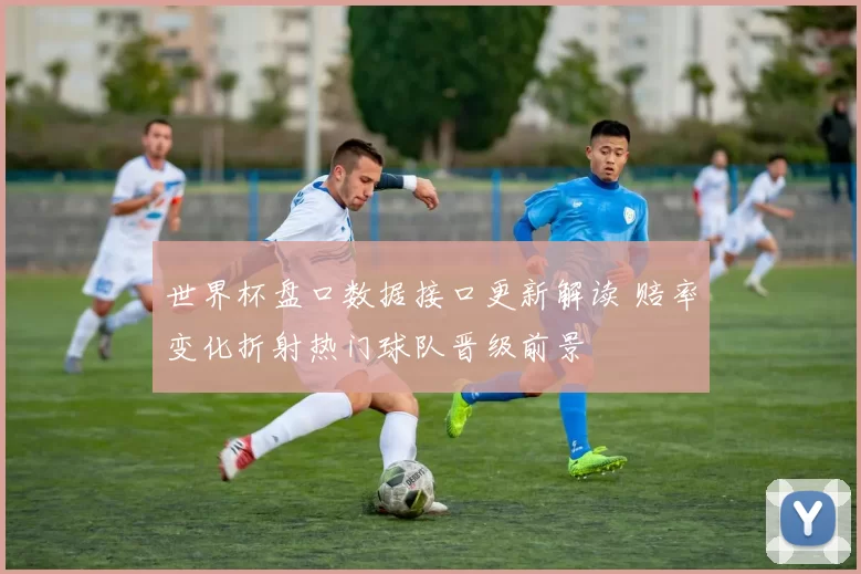 世界杯盘口数据接口更新解读 赔率变化折射热门球队晋级前景