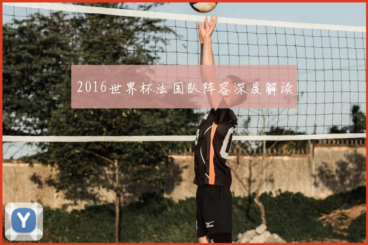 2016世界杯法国队阵容深度解读