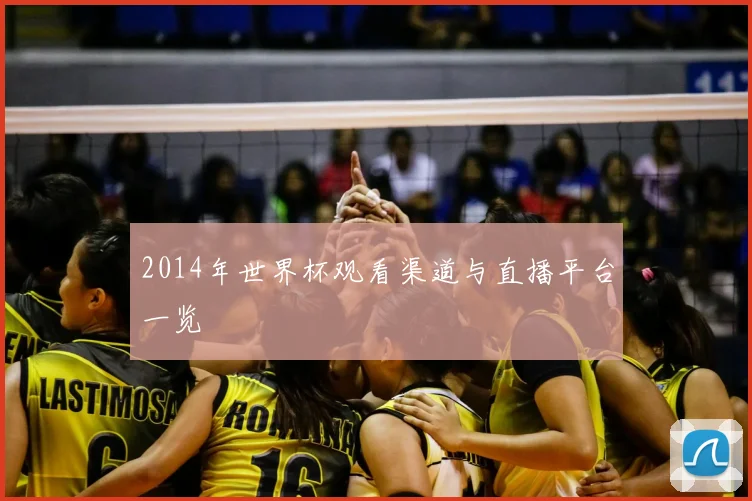 2014年世界杯观看渠道与直播平台一览